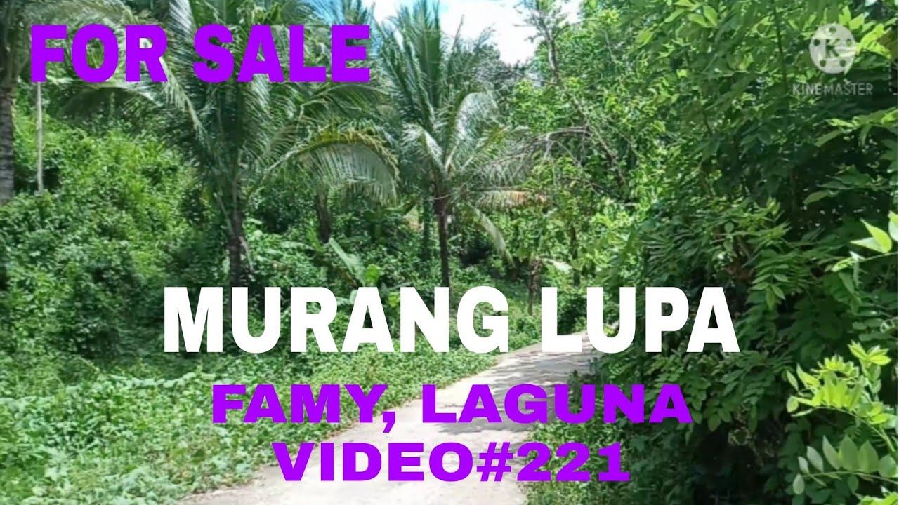 #12 HECTARES FARM LAND 