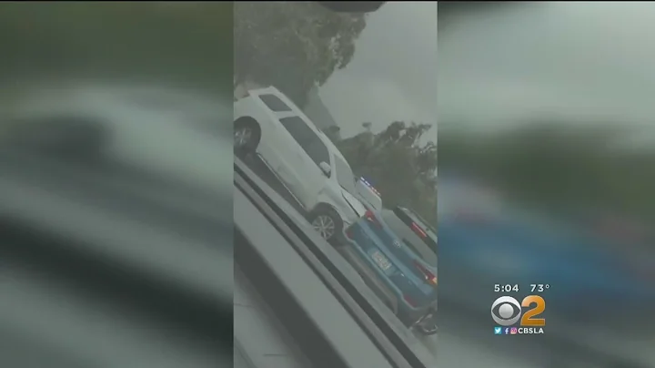 Caught On Camera: Carjacking Suspect Arrested After Wild Pursuit, Struggle With CHP Officer