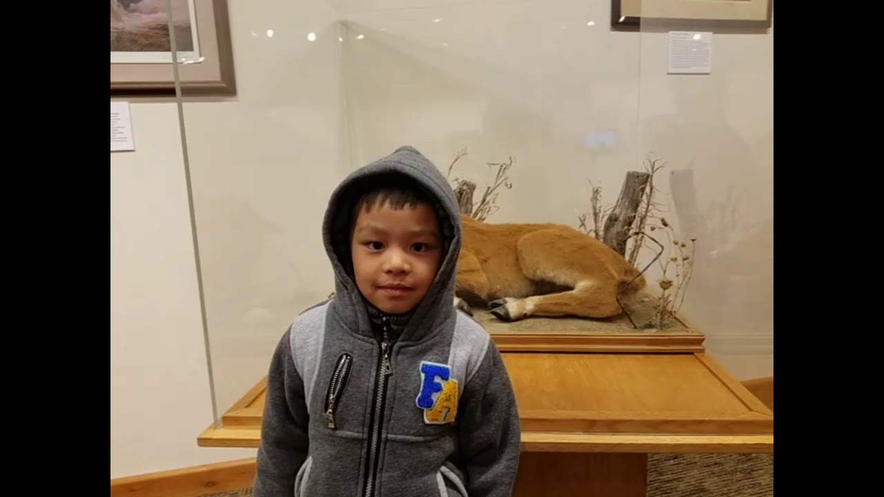 At Jamestown Buffalo museum ND May 18 2019