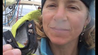 Atlantic Garbage Patch