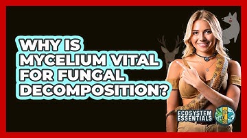 Why Is Mycelium Vital For Fungal Decomposition? - Ecosystem Essentials