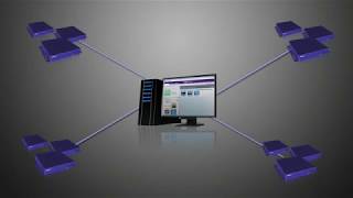 Celebrity BrightSign Training 4.6.2. BrightSign Network Management Net Worth