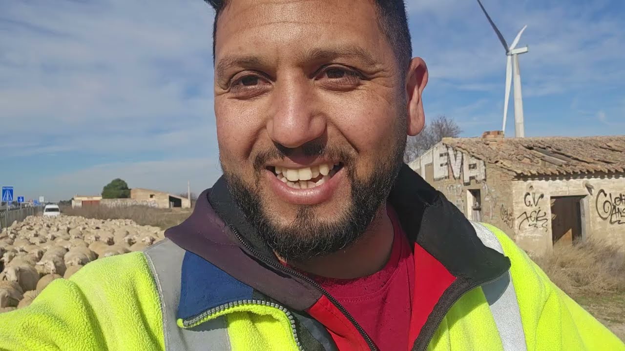 ترحيل الغنم شوفوا الكوري المهجور