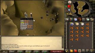 Runescape 07 - By DizZy's quest guide: Lost City!