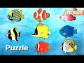 お魚 パズル★海の生き物たちの子供向けアニメ★赤ちゃんが喜ぶ遊び Fish Puzzle kids anime