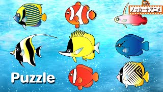 お魚 パズル★海の生き物たちの子供向けアニメ★赤ちゃんが喜ぶ遊び  Fish Puzzle kids anime screenshot 4