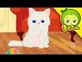 ペルシャ猫を助けて | マークの動物病院 | まめきゅん MAMEKYUNN