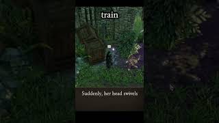 train — Divinity: Original Sin 2 dialogue scene