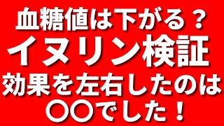 [血糖値測定あり]イヌリンの効果を徹底検証！糖尿病に効く!?