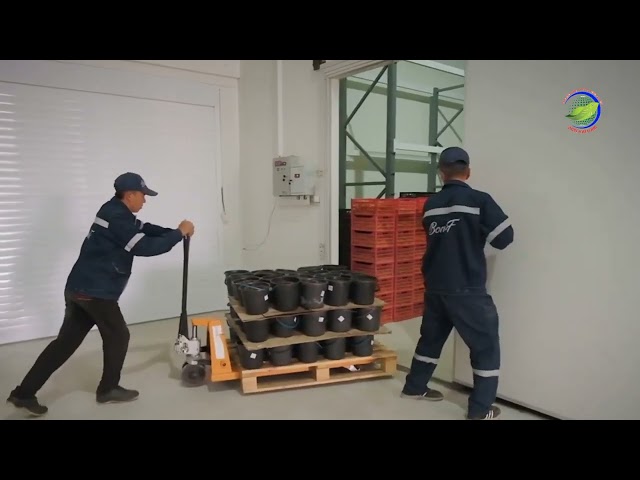 🌿 Bột Rau Củ Quả Hòa Tan – Tinh Hoa Thiên Nhiên