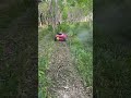 强大动力!无懈可击!AMD遥控碎草机 #remotecontrollawnmower #lawnmower
