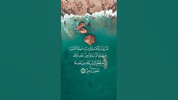 تلاوة هادئة تريح النفس ماشاء الله القرآن الكريم سورة النحل
