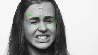 Emotions Classification using YOLOv5 and ResNet-50 | Periocular Facial Region (DEMO)