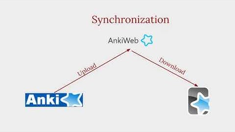 Foundations | Synchronizing Anki properly