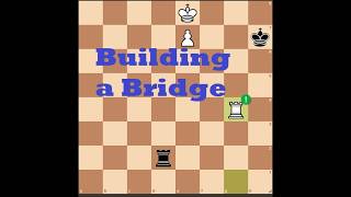 Building a Bridge: The Lucena Position