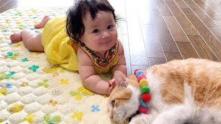 初めて猫を見た赤ちゃんの反応が可愛すぎた
