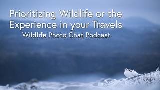 Prioritizing Wildlife or the Experience in your Travels - Wildlife Photo Chat Video @RayHennessy