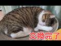 ようやく交換!気分もスッキリ♪ vol.1561