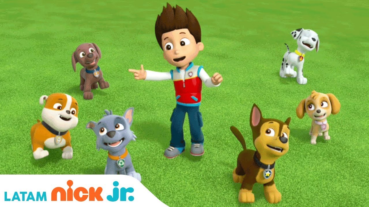 Descubre la Magia de la Patrulla Canina: Peluches de Paw Patrol de