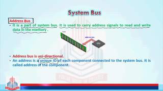 Computer Buses and their types