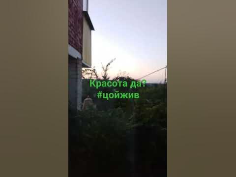 #виктор#цой#викторцой#кино#цойжив#ставрополь - YouTube