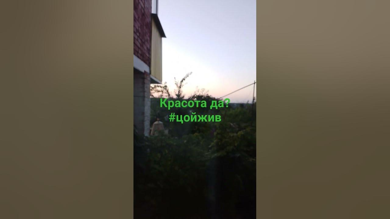 #виктор#цой#викторцой#кино#цойжив#ставрополь - YouTube