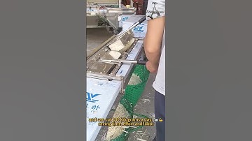 Machinaal bamboescheuten hakken! 🔪💪Een dagtaak kan in slechts één uur worden voltooid, hoe effici...