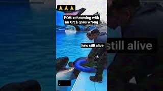 Rehearsing with Orca at SeaWorld goes WRONG