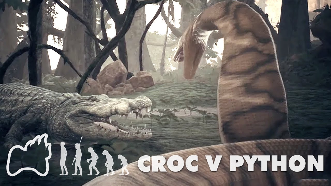 Huge Rock Python Vs Crocodile | Ancestors: The Humankind Odyssey - YouTube