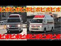 ピポピポきゅうきゅうしゃ 🚑🚒🚑🚑🚑🚑🚑🚑🚑🚑🚑🚑🚑🚑🚑🚑🚑🚑🚑🚑🚑🚑🚑🚑🚑🚑🚑🚑🚑🚑🚑🚑🚑🚑🚑🚑🚑🚑🚑🚑🚑🚑🚑🚑🚑🚑🚑🚑🚔🚑🚑🚑🚑🚑🚑🚑