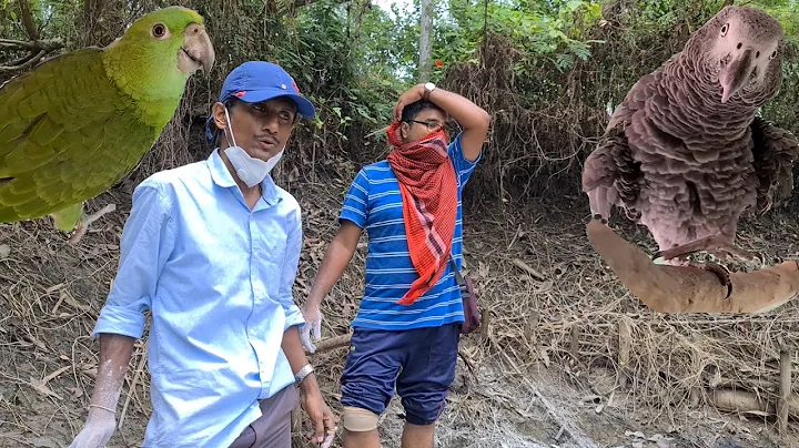 Thousands Of Sundarban Yaas Victims Relieved By Super Fast Team Work/ Our First African Grey Parrot.