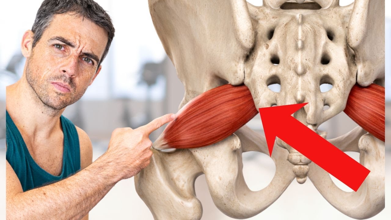 Il muscolo che SBLOCCA bacino e glutei: ecco gli esercizi TOP!