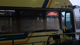 Bee-Line Bus Action at New Rochelle Transit Center