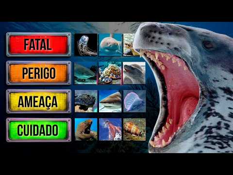Os predadores marinhos mais mortíferos (Tier List)