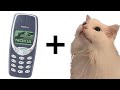 Cat MEOW but Nokia 3310 Ringtones