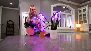 Bionic Grow from JML