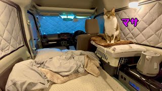 [Car camping with cats] First night in the car with a bed kit made for $27
