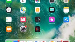 Controlling the Media and Ringer Volume on the iPad screenshot 4