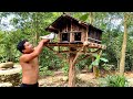 Primitive Life: Build a Bird's House ! thumbnail