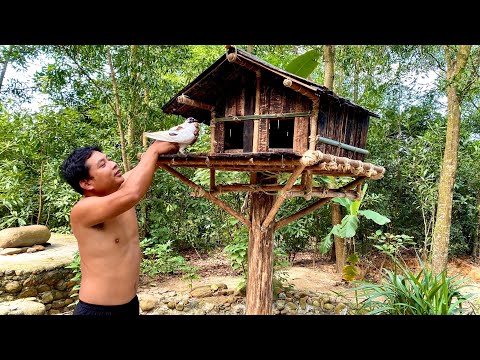 Video: Paano Gumawa Ng Isang Pandekorasyon Na Birdhouse