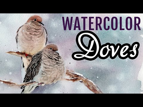 Watercolor Bird Painting Mourning Dove Step by Step Tutorial