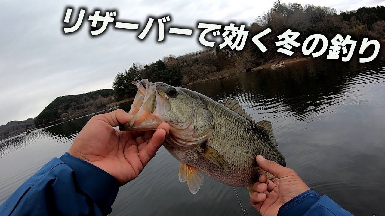 冬のワカサギ食いの極太バス捕獲 入鹿池 Youtube