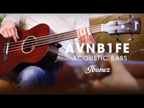 ibanez-avnb1fe---compact-acoustic-electric-bass-(fretless)