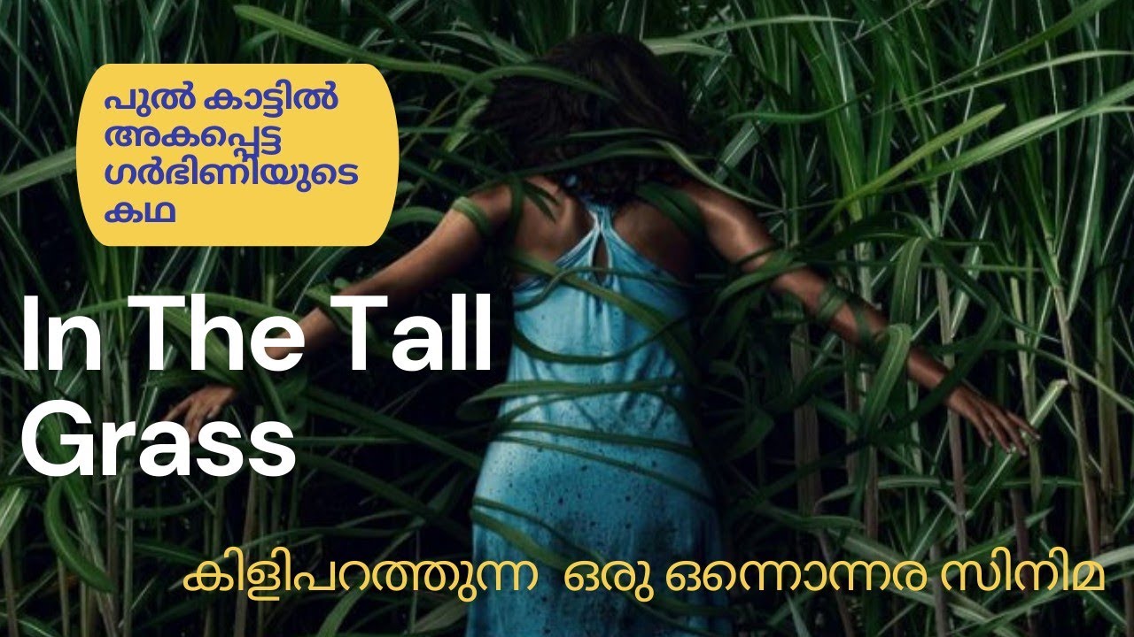 In The Tall Grass Hollywood Movie malayalam Review കിളിപറത്തുന്ന ഒരു