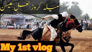 Chodwi karor 2020 /Horse racing manager 2020 / Abdul majeed Khan Niazi Horse Racing 2021 screenshot 5