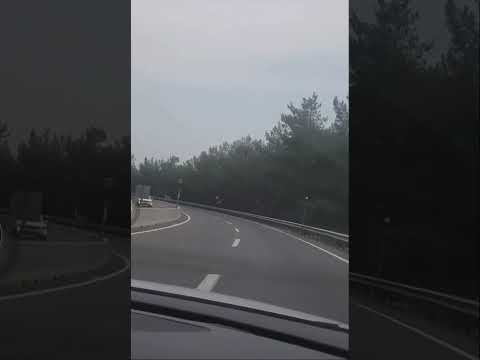 كل غالي يهون ياحبيبي فداك اليسا
