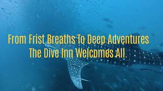 Koh Phangan Diving - SAIL ROCK (Best dive site in the gulf of Thailand) by The Dive Inn