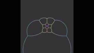 Clayton shonkwiller  ➿️math design.