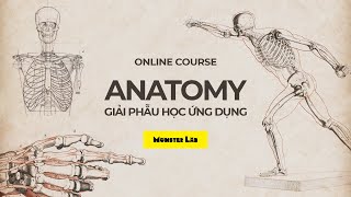 [Khóa học online] ANATOMY - Giải phẫu học ứng dụng | GV. Nguyễn Ngọc Linh screenshot 1