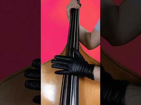 Did You Know That Godzilla S Voice Is Actually A Bass Bass Bassguitar Godzilla Godzillavskong